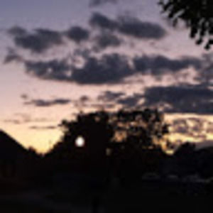 Meet your Posher, Desirae